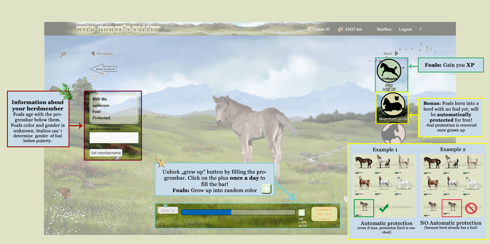 Help wild horse s valley