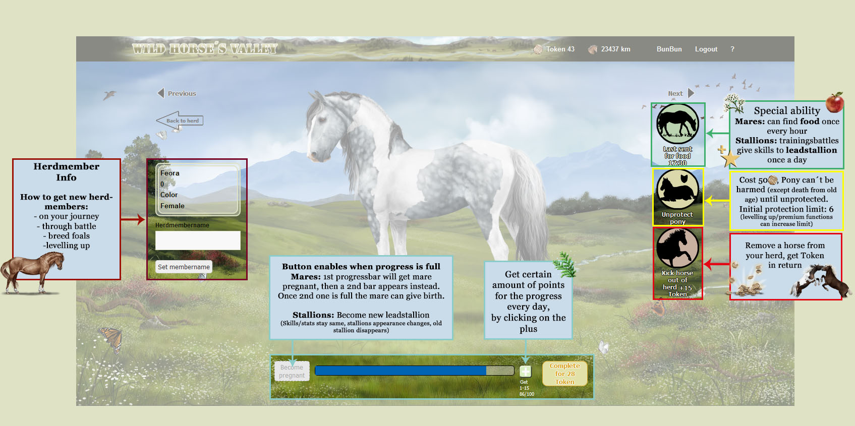 Help wild horse s valley